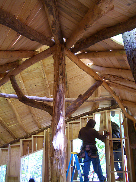 Mt. Airy Forest Park Cincinnati, Ohio - accessible tree house by the Treehouse Guys, LLC