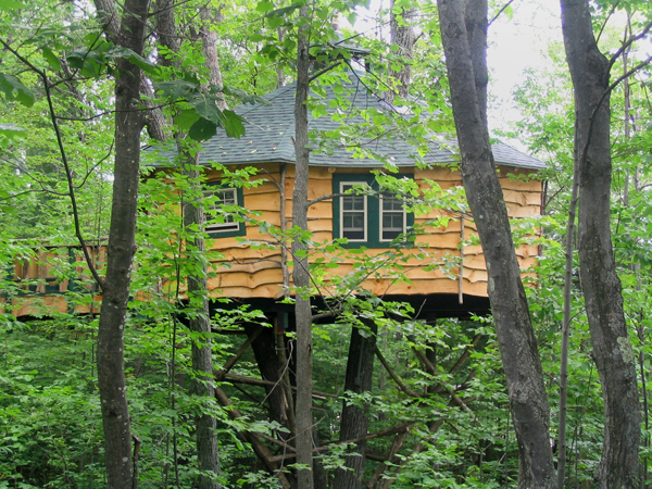 The Treehouse Guys universally accessible treehouses