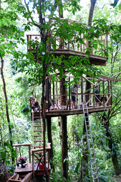 Finca Bella Vista treehouse by The Treehouse Guys, LLC
