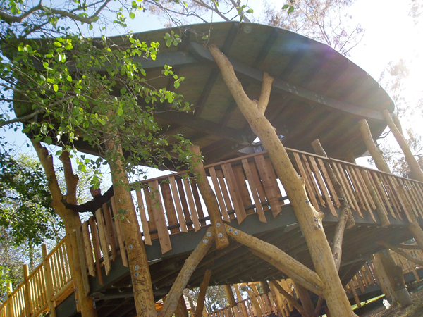 Charles Wilson Park, Torrence California - Treehouse by the Treehouse Guys, LLC Vermont