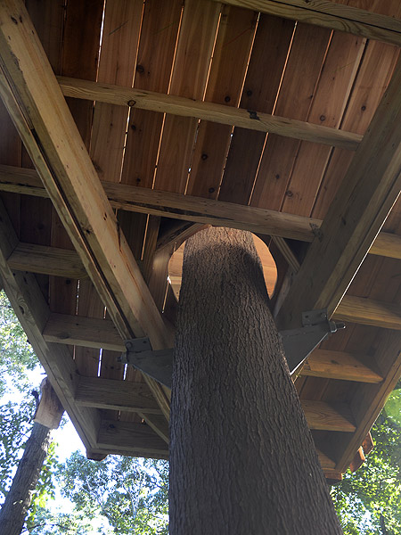 backyard treehouse by The Treehouse Guys, LLC