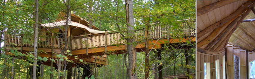 public park universally accessible treehouses by the Treehouse Guys, LLC Vermont