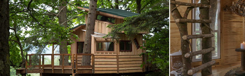 DIY Network The Treehouse Guys TV show building tree houses