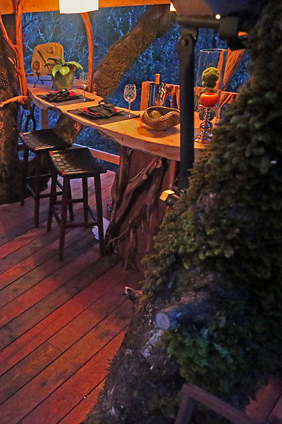 The Sushi D & B Tree House - Cave Junction, OR by the Tree House Guys, DIY network