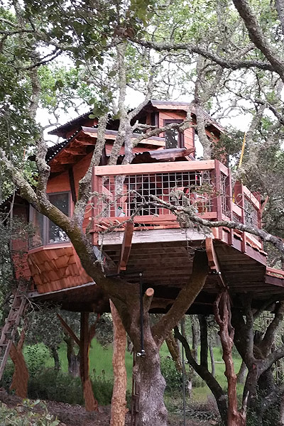 The Harding’s Tree House by the Tree House Guys, DIY network