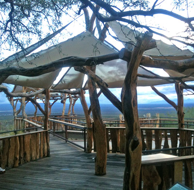Sonora Desert Museum public tree house by The Treehouse Guys, LLC