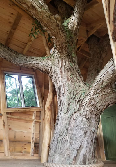 custom design and build tree house by The Treehouse Guys