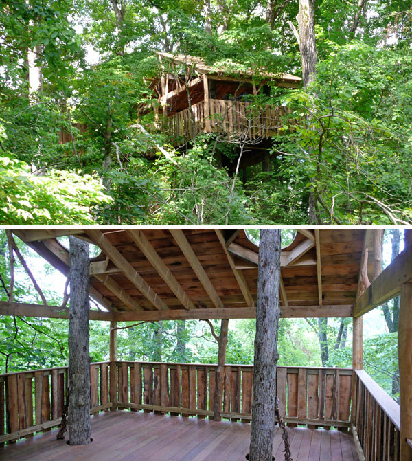 universally accessible tree house by The Treehouse Guys