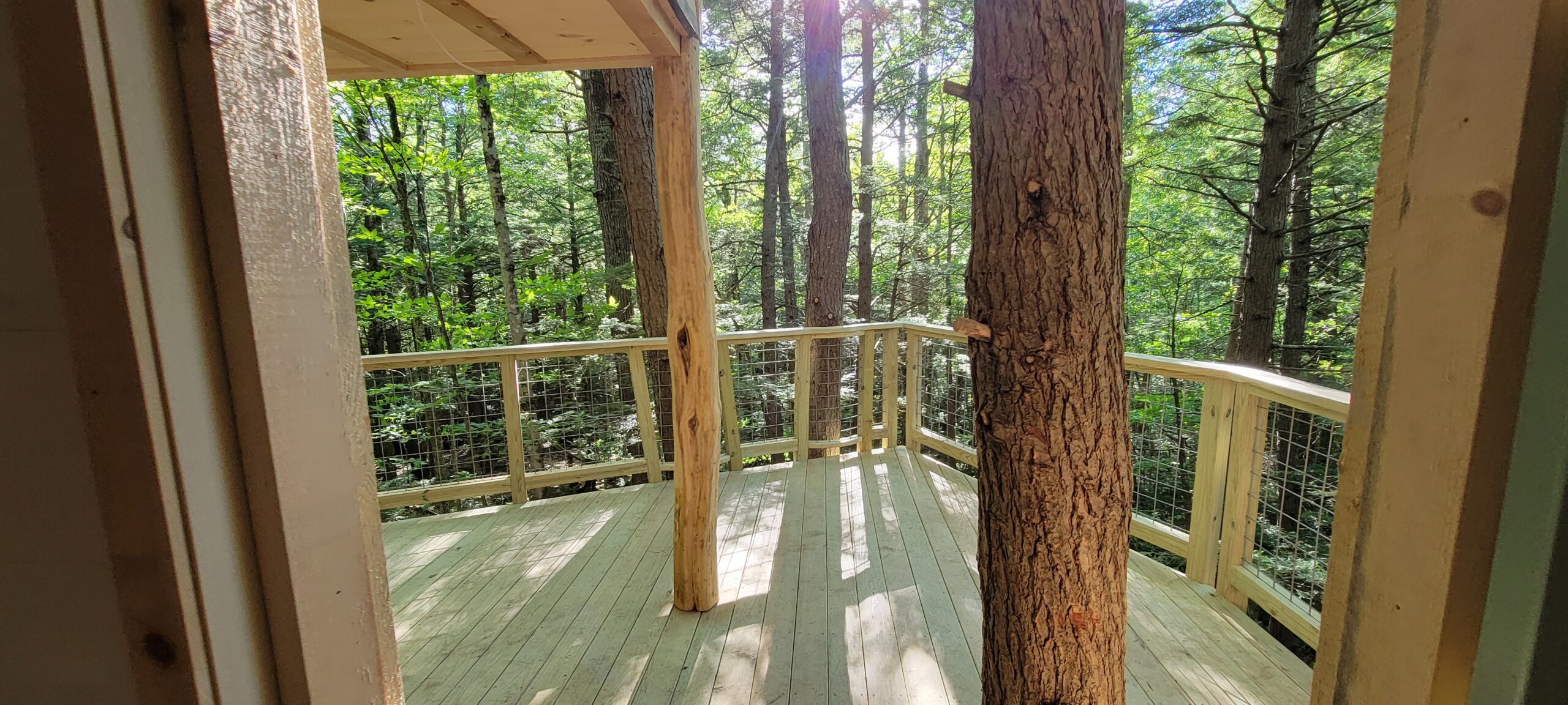 A mix of live trees and tree posts make for a cozy deck space in this rental treehouse.